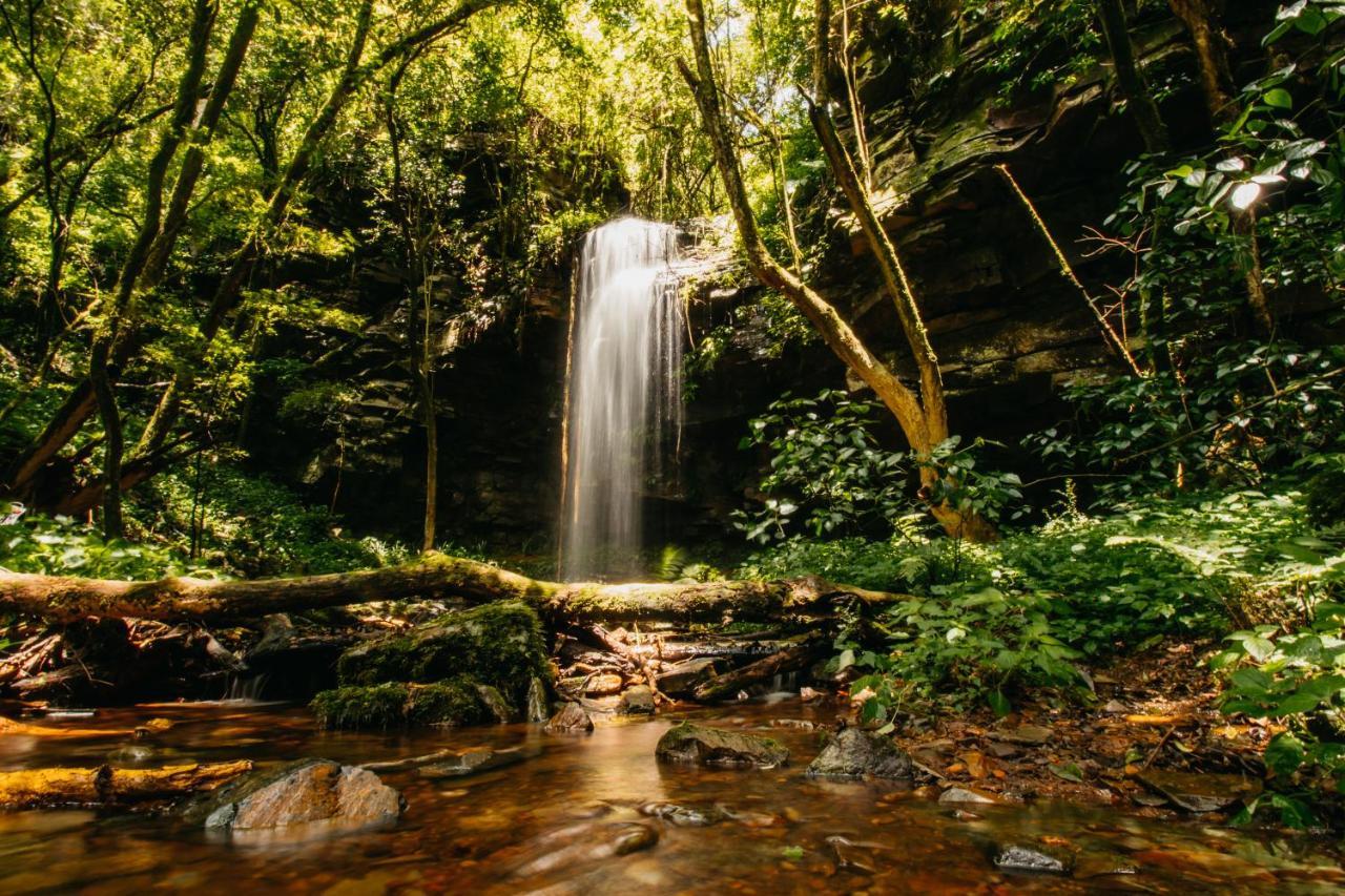 Mount Sheba Rainforest Hotel & Resort Пилгримс-Рест Экстерьер фото